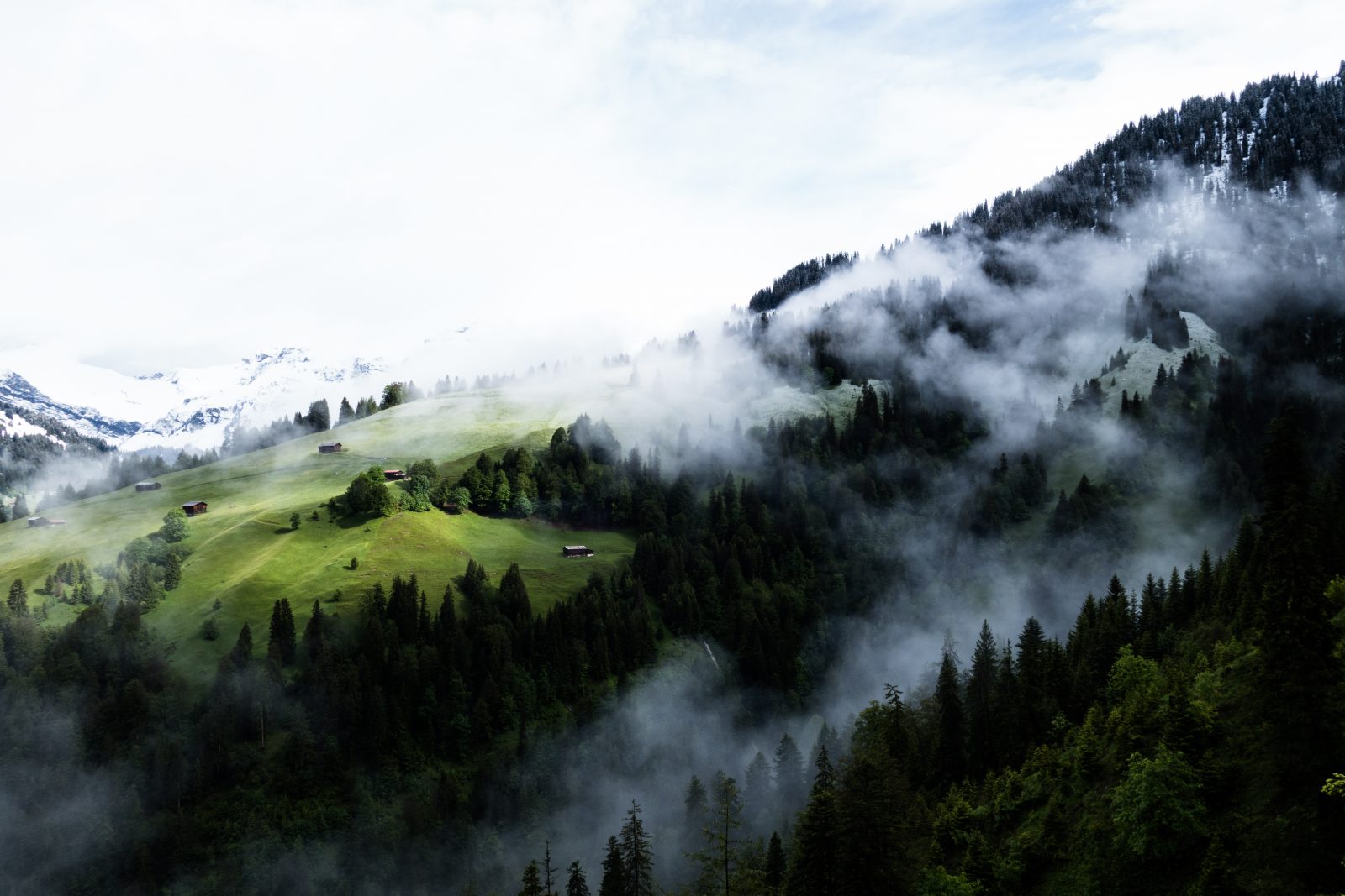 Naturpark PfynFinges (Pfynwald) Wallis